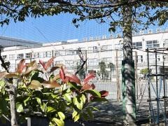 西保木間小学校