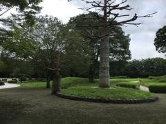 秦野市立桜土手古墳公園