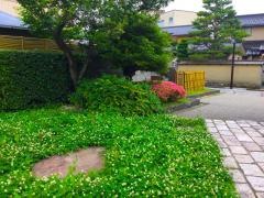 長町やすらぎ緑地