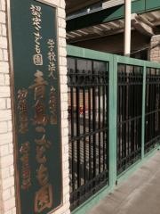 青島幼稚園