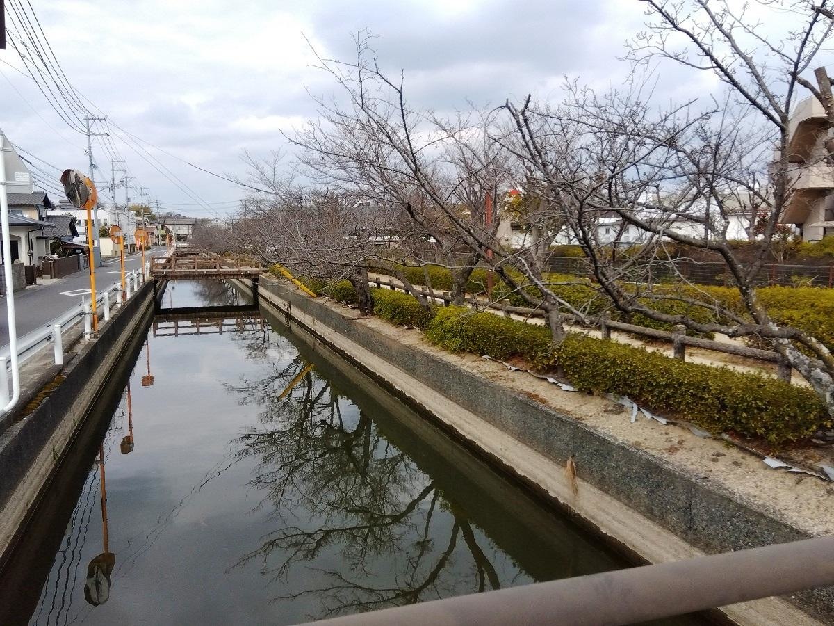 妹尾緑道を紹介致します。