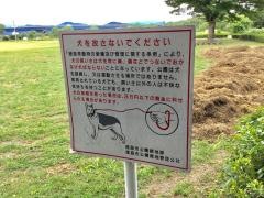 鮎喰川河川敷緑地