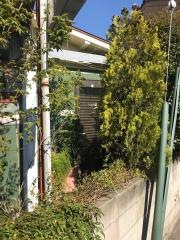 いとう庭