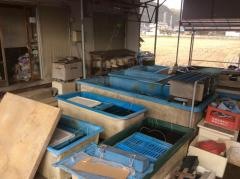 鴨川観賞魚センター