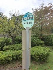 「桜が丘中央」バス停留所