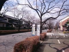 「近隣センター」バス停留所