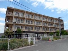 エルサ上尾
