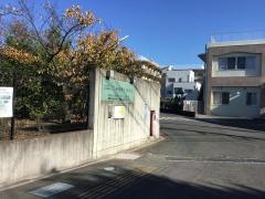 湘南くすの木
