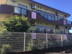 湘南くすの木