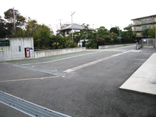 湘南くすの木 雰囲気