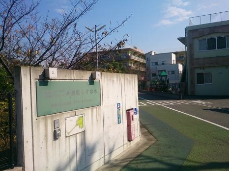 湘南くすの木 雰囲気