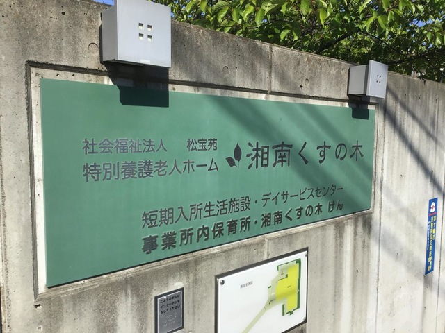 湘南くすの木 看板
