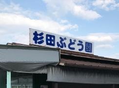 杉田ぶどう園