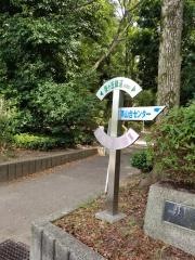 槇塚公園