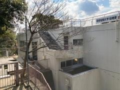 頌栄幼稚園
