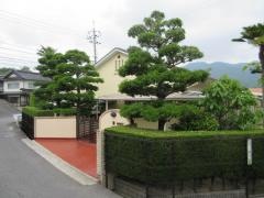 ほうりん安幼稚園