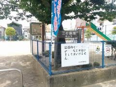 三杉緑地