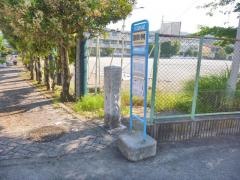 「国府津小学校」バス停留所