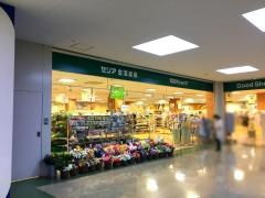 Ｓｅｒｉａ　上尾愛宕店