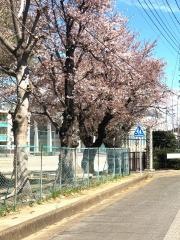 小針小学校