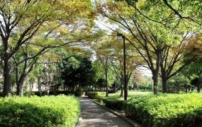 清新町緑地