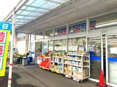 ハックドラッグ　上白根店