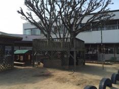 山東保育園