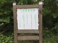 上加自然の森