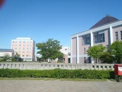 新潟医療福祉大学