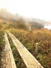 八島ケ原高層湿原