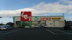 スギ薬局　城山店