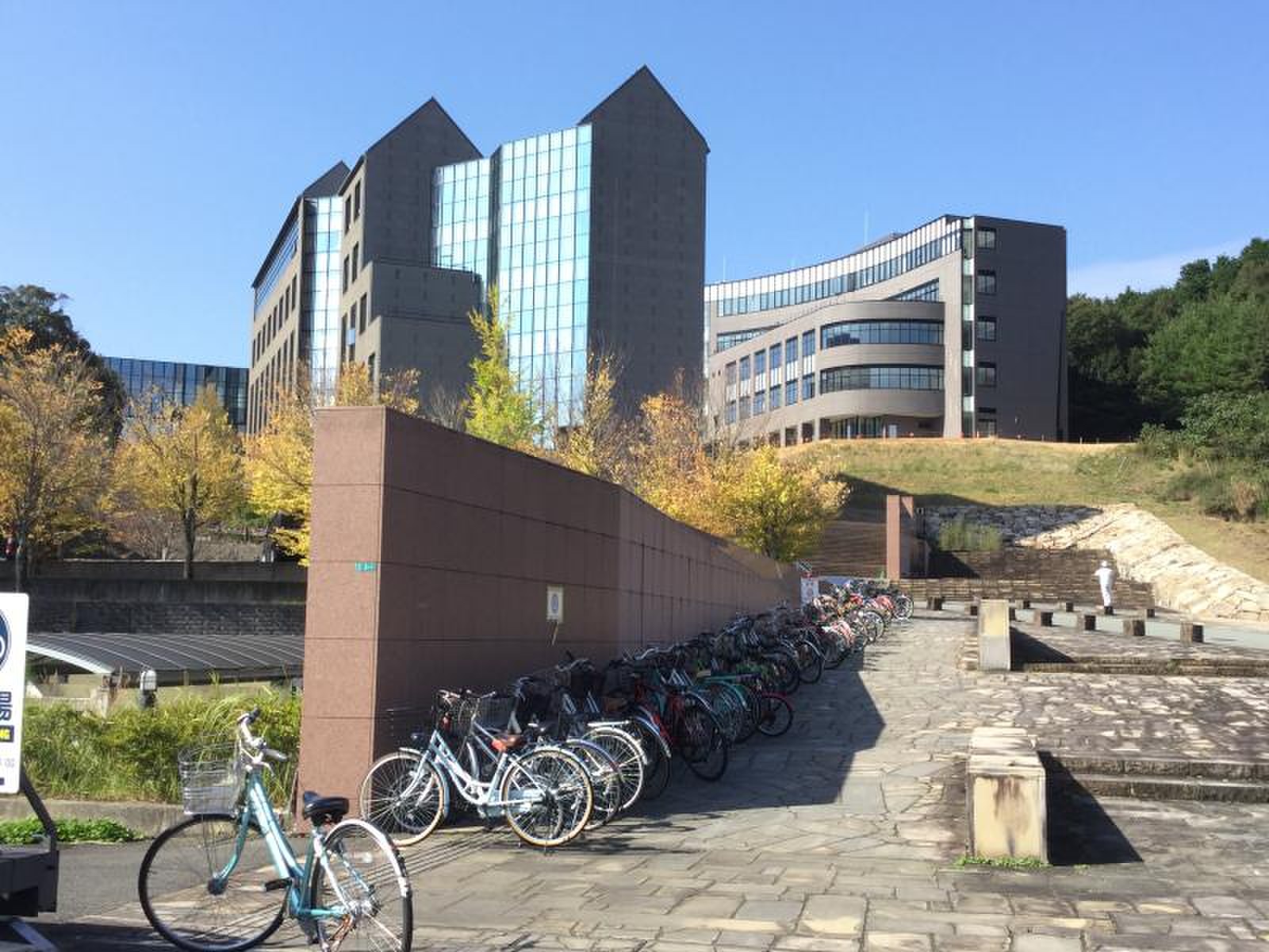 山口 県立 大学
