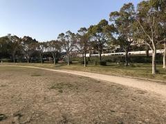 自由ケ丘第11号公園
