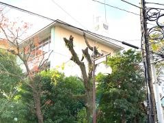 鹿児島市立甲東中学校