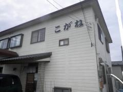 黄金寿司