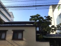 やぶ金