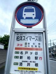 「柏洋スイマーズ前」バス停留所