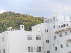神於山園