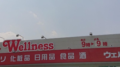 マーケットピア ドラッグストアウェルネス 西伯店 西伯郡南部町阿賀