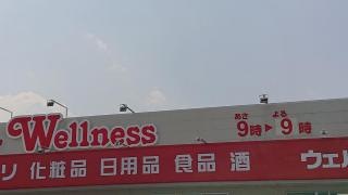ドラッグストアウェルネス 西伯店