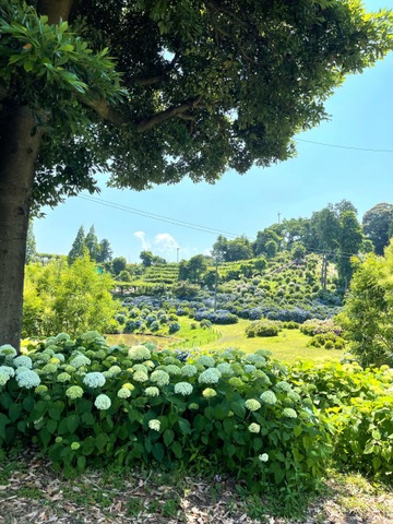 施設写真17