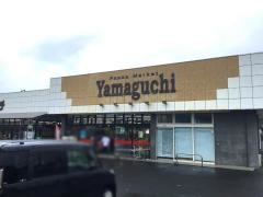 ヤマグチスーパー韮川店