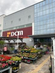 ＤＣＭ　名古屋白金店