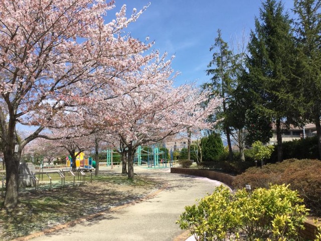 施設写真39