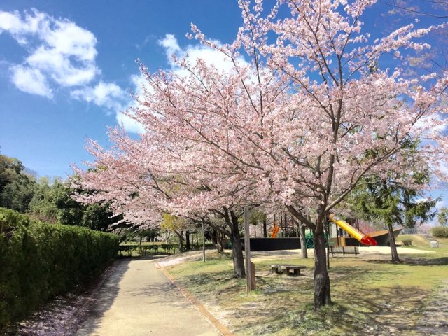 施設写真36