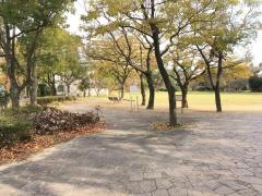 南港近隣3号公園