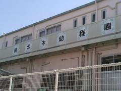 桃の木幼稚園