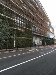 東急病院