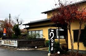 柳ばし