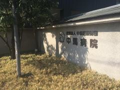 中馬病院